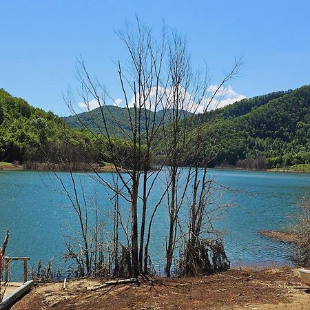Pensiunea Izvorul Bucuriei Siriu Εξωτερικό φωτογραφία
