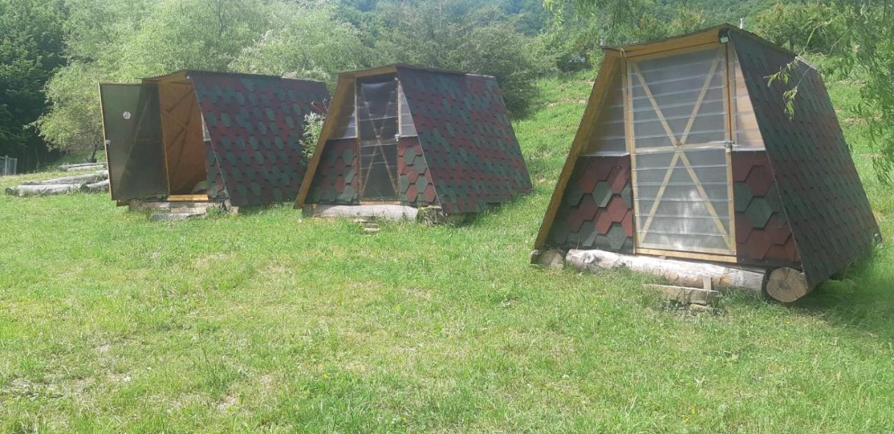 Pensiunea Izvorul Bucuriei Siriu Εξωτερικό φωτογραφία